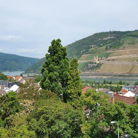Ferienwohnung Rheinblick Bingen Apartment